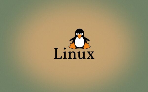 Linux查看机器CPU信息 查看几核几线程